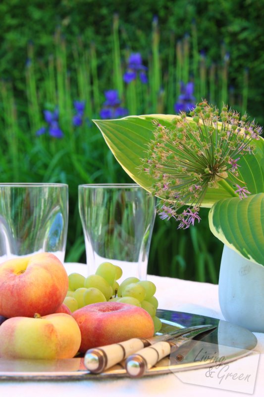 WOW *Wohlfühl-Schirme* - Sommer im Garten Wohlfühl-Schirme