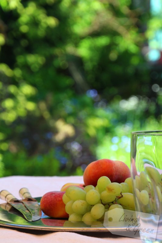 WOW *Wohlfühl-Schirme* - Sommer im Garten Wohlfühl-Schirme