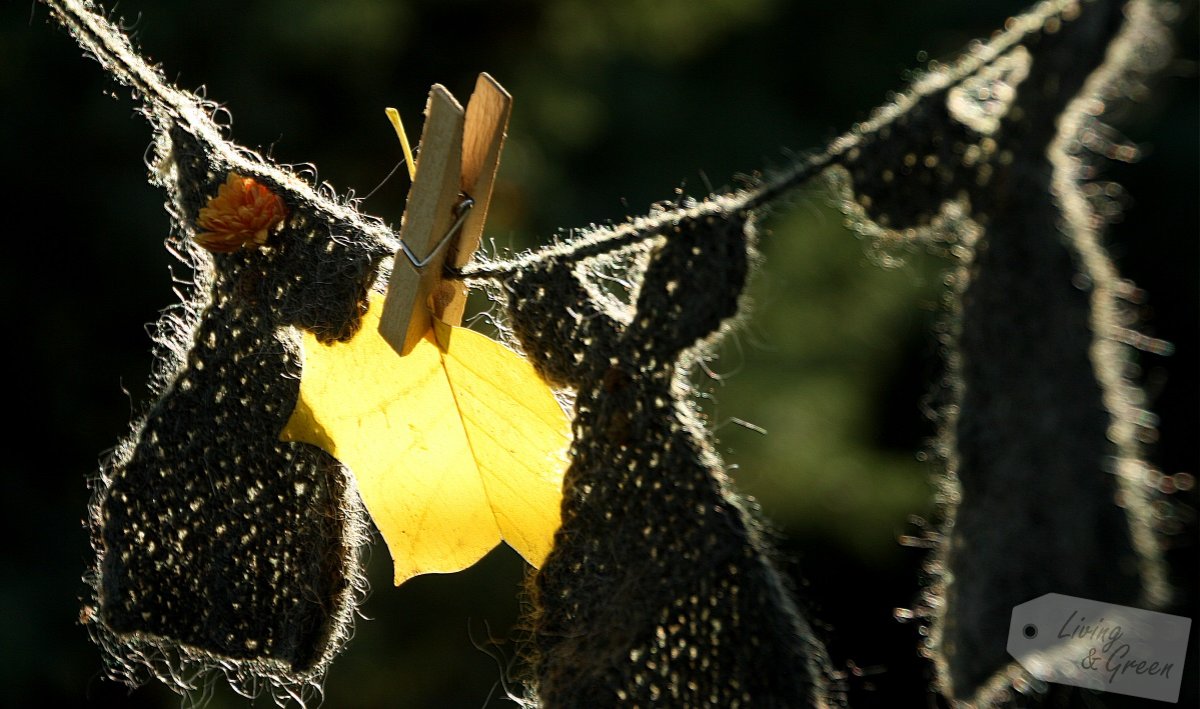 Gartendekoration im Herbst * get inspired! * - Herbstdekoration Kleidergirlande