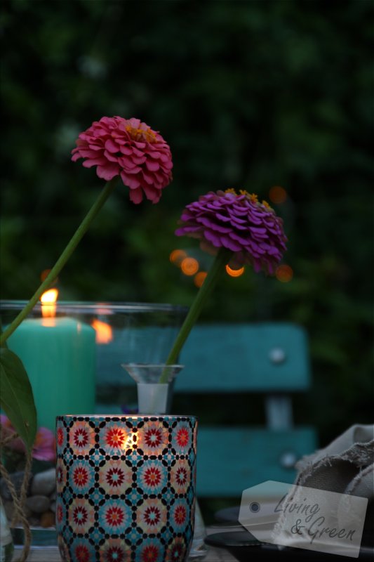 Candle-Light-Garden - Candle Light Dinner
