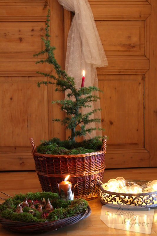 Ab ins Körbchen * Geschenkstipps * - Deko Weihnachten