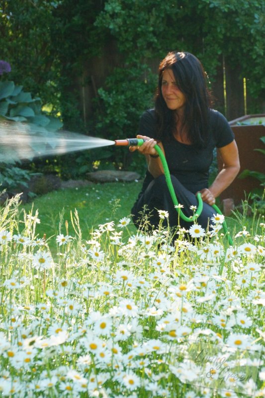 Wasser marsch! *Gieß-ABC* - dehnbarer Gartenschlauch 