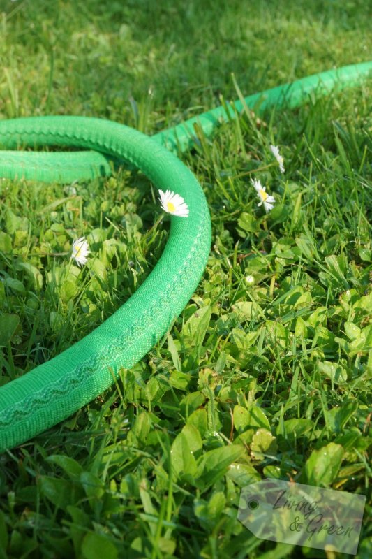 Wasser marsch! *Gieß-ABC* - dehnbarer Gartenschlauch