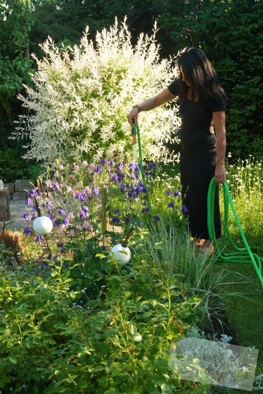 Wasser marsch! *Gieß-ABC* - dehnbarer Gartenschlauch