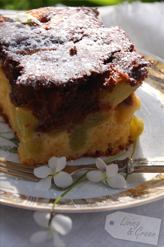 Hmmmmmm *Rhabarber-Marmor-Kuchen*  - Rhabarber-Marmorkuchen-Rezept