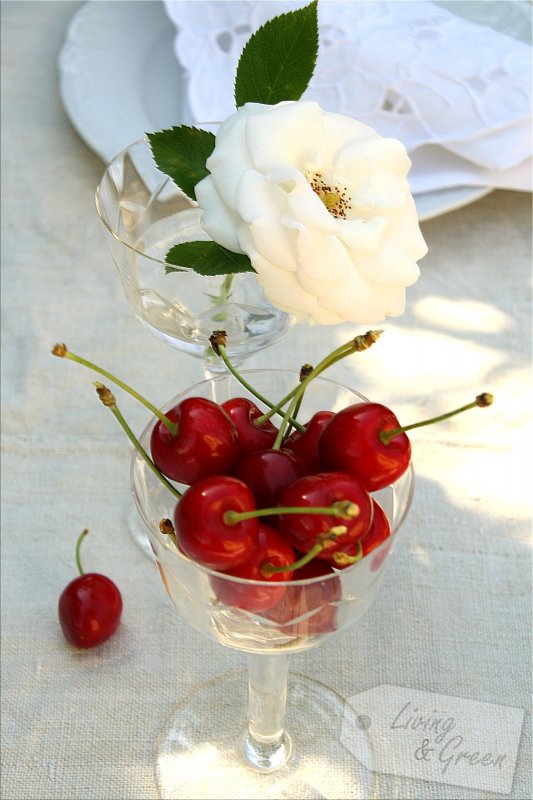 Herzallerliebst * Kirschtarte mit Mohn* - Kirschen und Rosen