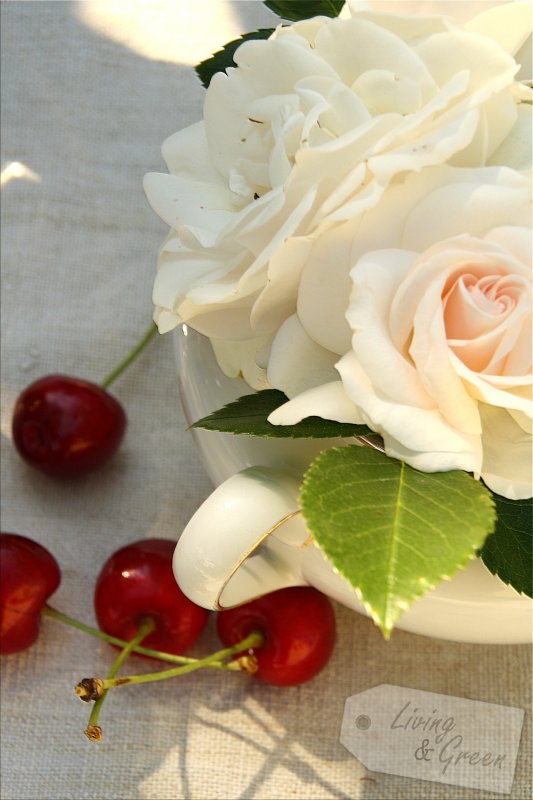 Herzallerliebst * Kirschtarte mit Mohn* - Kirschen und Rosen