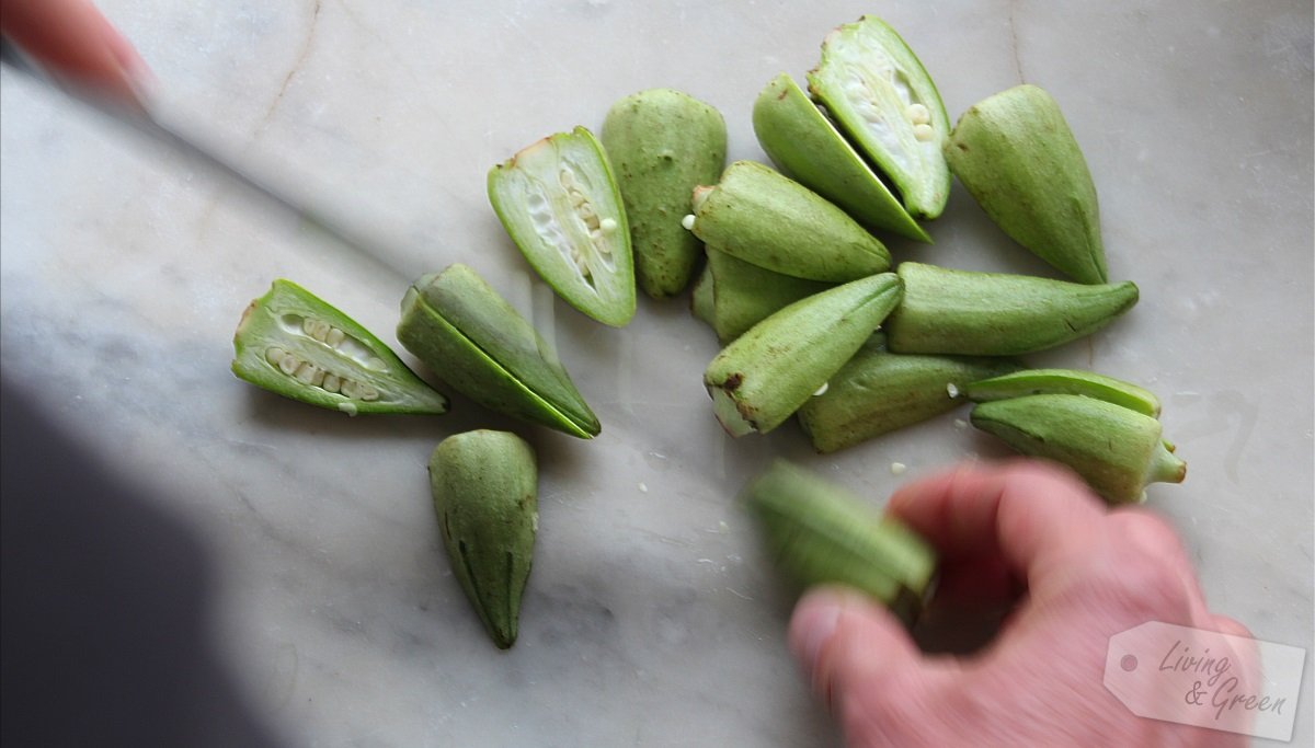 Ohhhhh Okraschonten-Eintopf - Okra 