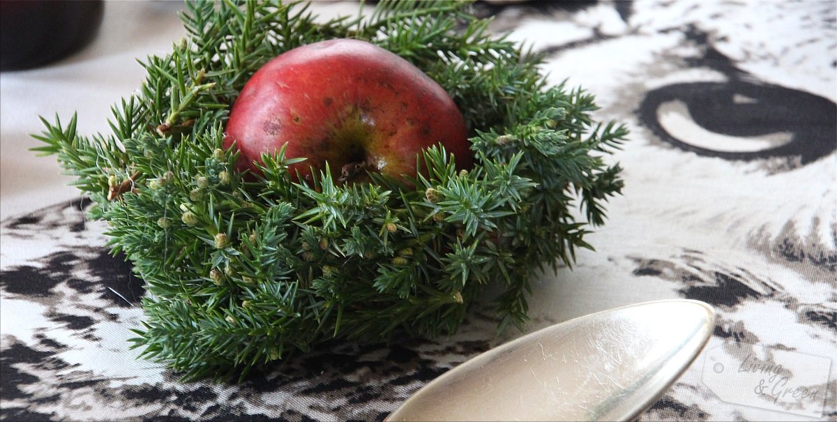 Apfel-Kartoffel-Kren-Suppe - Tischdekoration Herbst und Winter