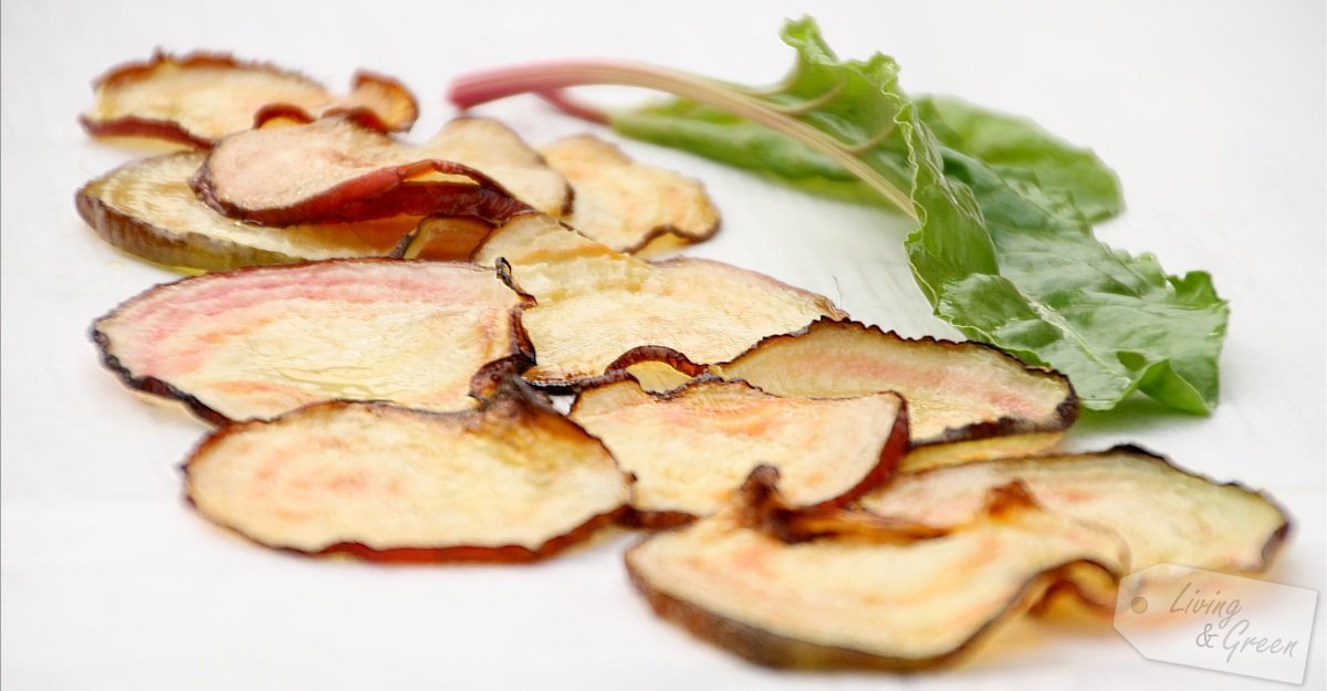 Herbst * Tonda di Chioggia Rezepte * - Tonda di Chioggia Chips