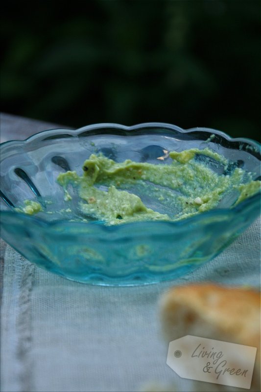 Crema al Cetriolo - Avocadocreme mit Gurken