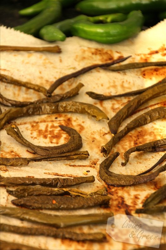 Scharfe Sache *Gegrillte Chilis in Öl* * Living &amp; Green