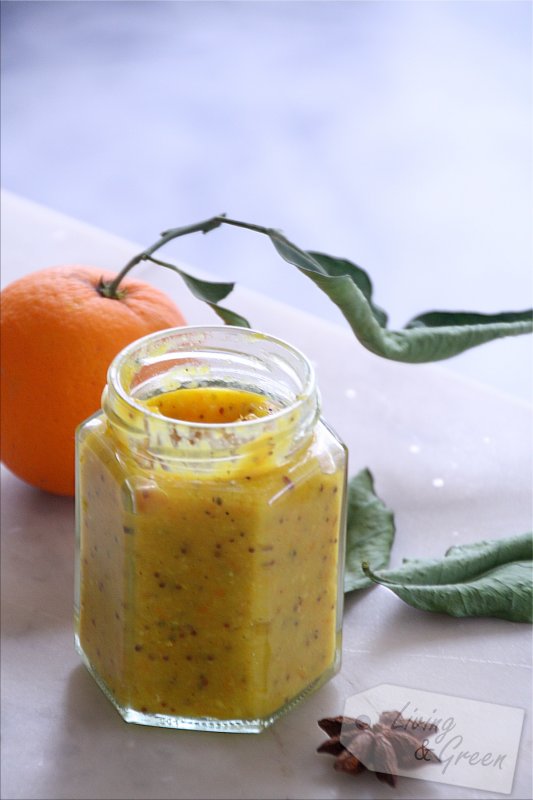 Winter *Orangensenf* - Orangensenf Rezept