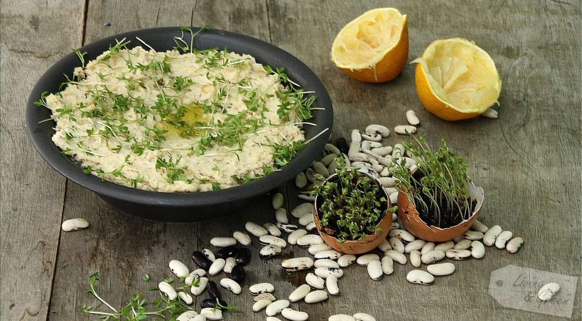 Winter *Hummus aus weißen Bohnen* - Hummus aus weißen Bohnen Rezept