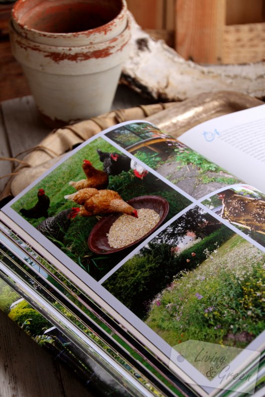 Ein Garten macht glücklich - Ein Garten macht glücklich Buchtipp