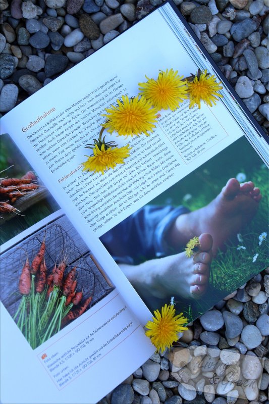 Gartenfotografie *Eine Anleitung* - Das Gartenfotobuch Buchtipp