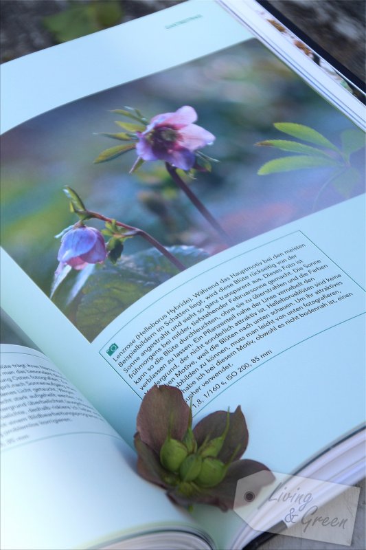 Gartenfotografie *Eine Anleitung* - Das Gartenfotobuch Buchtipp