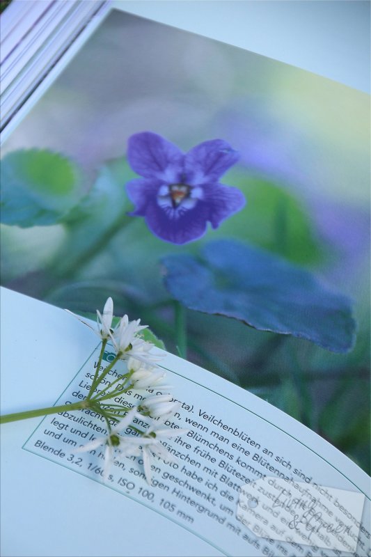 Gartenfotografie *Eine Anleitung* - Das Gartenfotobuch Buchtipp