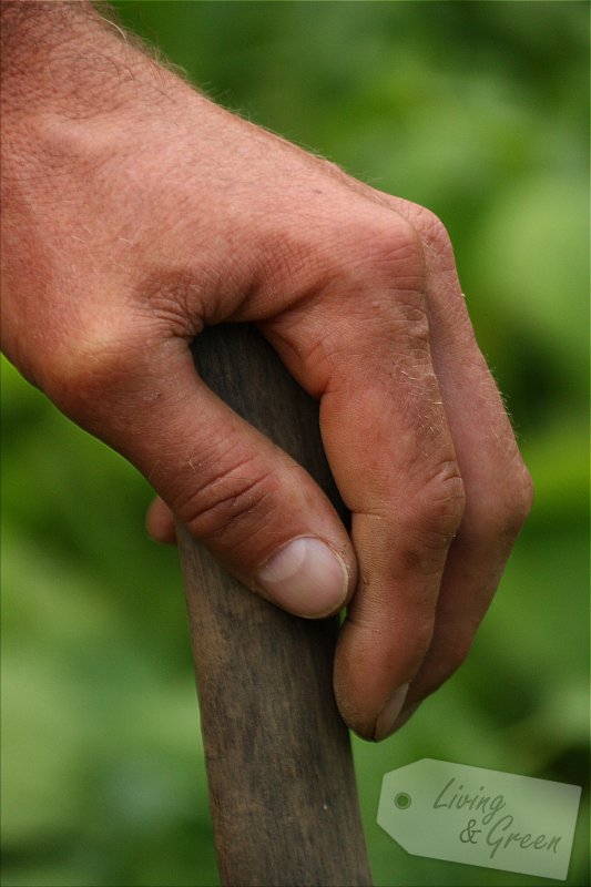 Gartenbücher für die Ohren - Gärtner