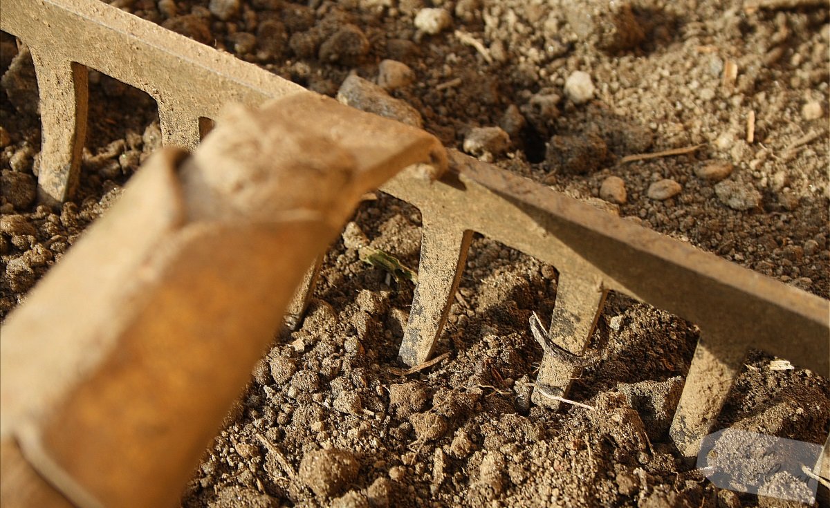 Gartenbücher für die Ohren - Eisenrechen