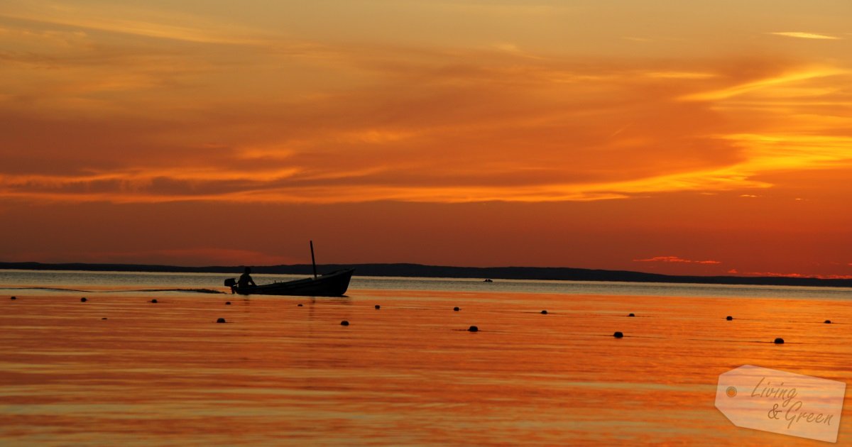 Mediterraneo *So schmeckt der Süden*  - Sonnenuntergang am Meer