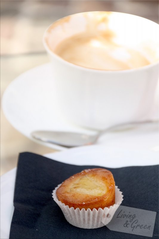 Mediterraneo *So schmeckt der Süden* - Kaffee