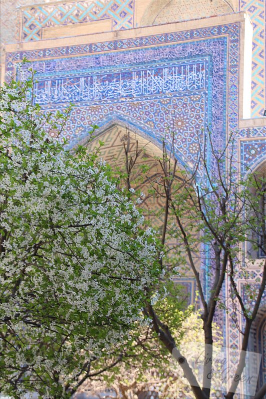 Usbekistan * Der Duft der Seidenstraße * - Samarkand