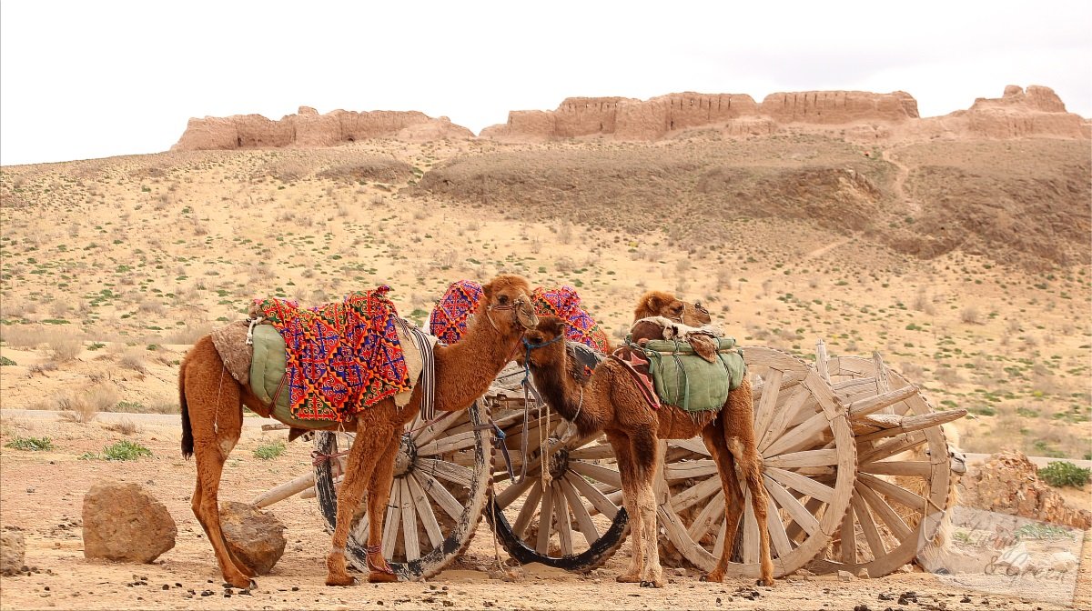 Usbekistan * Der Duft der Seidenstraße * - Wüste in Usbekistan