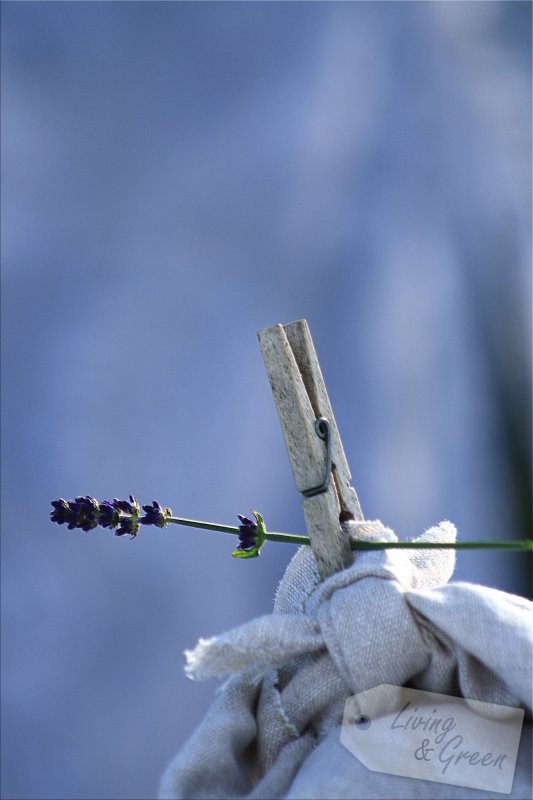 Heute ist Waschtag * Eine Kindheitserinnerung * - Waschtag Tischdekoration Sommer