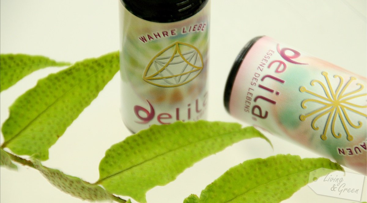 delila * Wellness für die Seele - delila Homöopathie