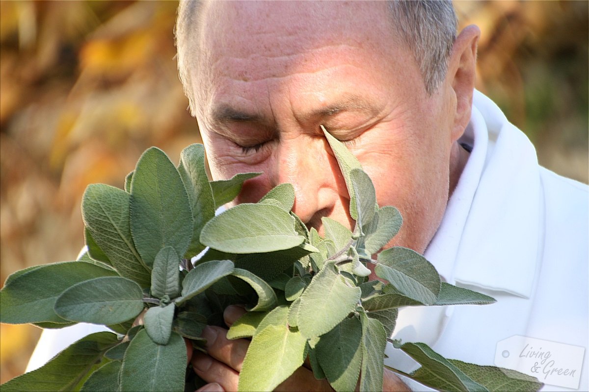 delila * Wellness für die Seele - Erhard Lengfeldner