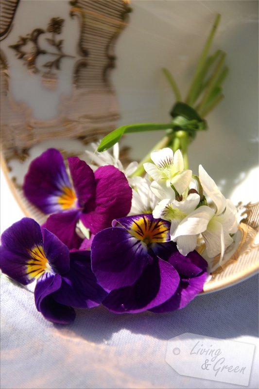 Tischlein deck dich .... Blütenfest  - Frühling Tischdekoration