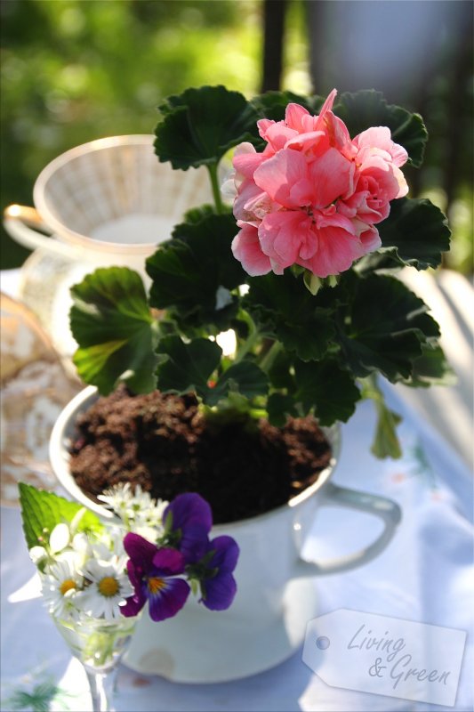 Tischlein deck dich .... Blütenfest  - Frühling Tischdekoration