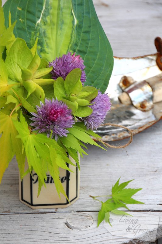 Von gefluteten Schneerosen und Lauch im Kümmeltopf - Blumenarrangements aus dem Garten