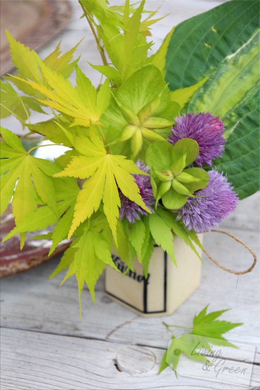 Von gefluteten Schneerosen und Lauch im Kümmeltopf - Blumenarrangements aus dem Garten