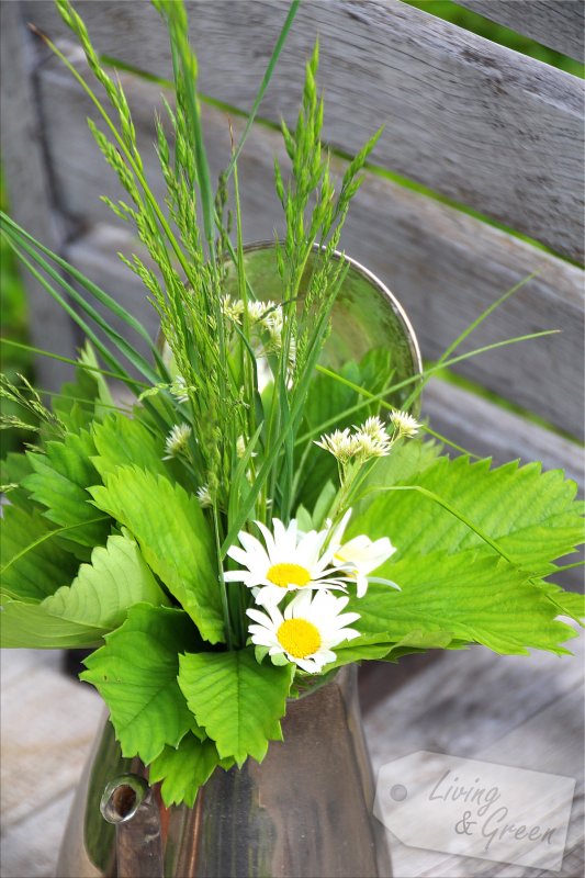 Von gefluteten Schneerosen und Lauch im Kümmeltopf - Blumenarrangements aus dem Garten