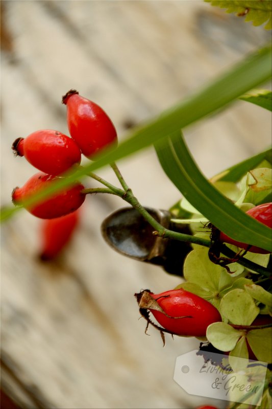 Kleine Schmeicheleinheiten: Herbststräuße - Herbststrauß