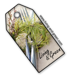 Living & Green get inspired